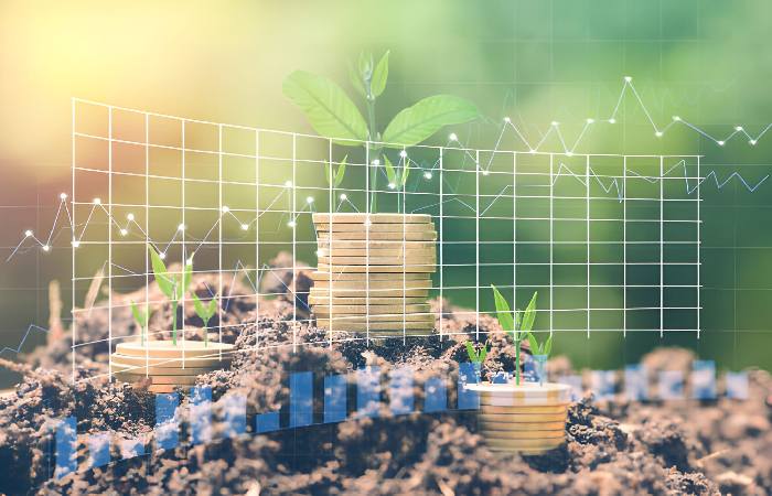 Grow a Garden Stock Write For Us