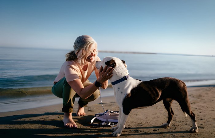 zendogtech com Write For Us