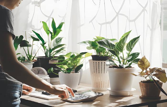 Grow a garden calculator Write For Us